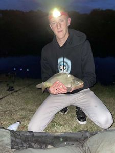 Mirror Carp