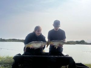 Common Carp