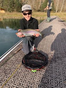 Rainbow Trout