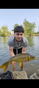 Common Carp