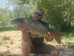 Common Carp