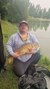 Mirror Carp
