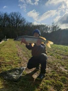 Northern Pike