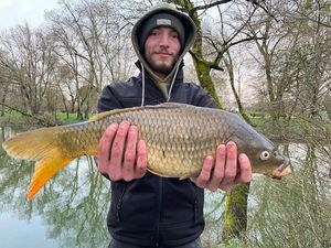 Leather Carp