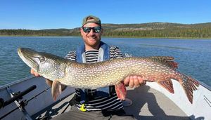 Northern Pike