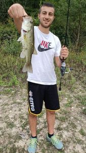 Largemouth Bass