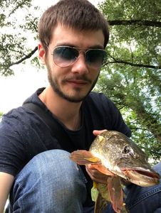 Northern Pike