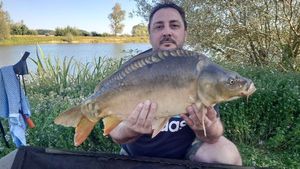 Mirror Carp