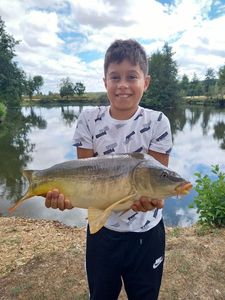Mirror Carp