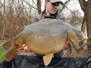 Mirror Carp