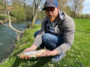 Rainbow Trout
