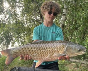 Grass Carp