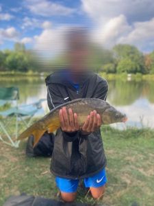 Mirror Carp