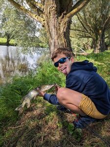 Northern Pike