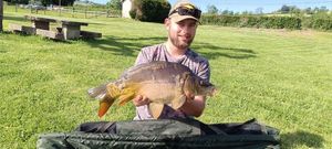Mirror Carp