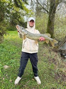 Northern Pike