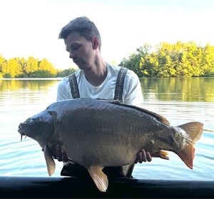 Mirror Carp