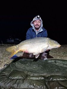 Mirror Carp