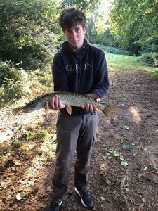 Northern Pike