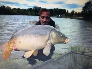 Mirror Carp