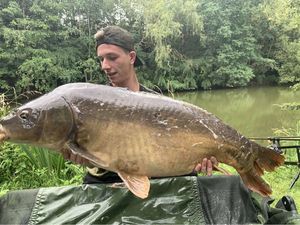 Leather Carp