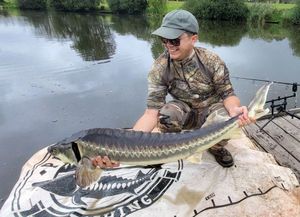 Sturgeon