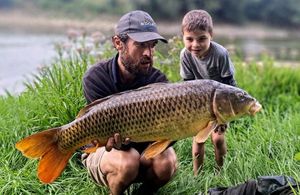 Common Carp