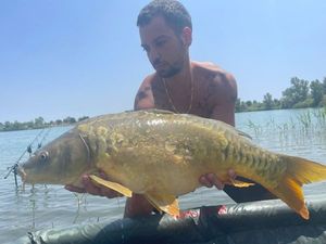 Leather Carp