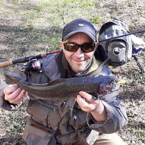 Rainbow Trout