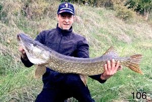 Northern Pike