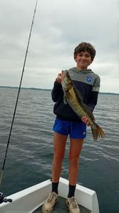 Zander