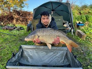 Common Carp