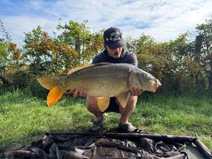 Mirror Carp