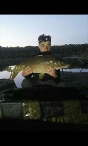 Mirror Carp