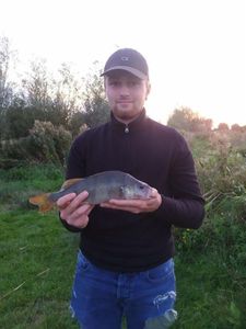 European Perch