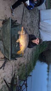 Mirror Carp