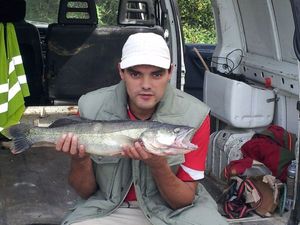 Zander