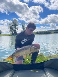 Mirror Carp