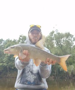 Barbel
