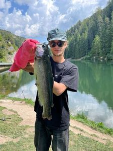 Cutthroat Trout
