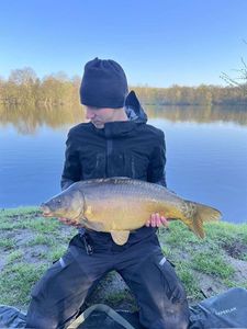 Mirror Carp