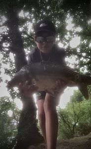 Mirror Carp
