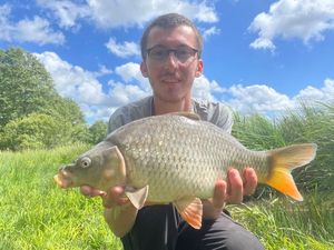 Common Carp