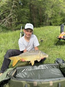 Mirror Carp