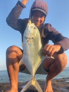 Crevalle Jack