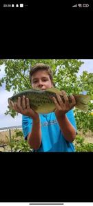 Largemouth Bass