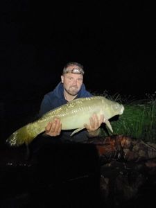 Mirror Carp