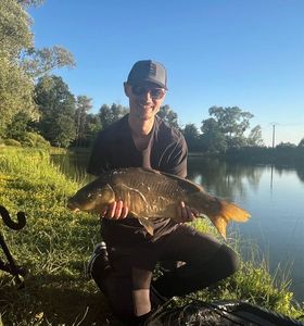 Mirror Carp
