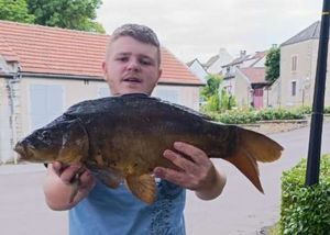 Mirror Carp
