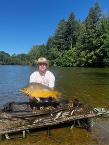 Mirror Carp